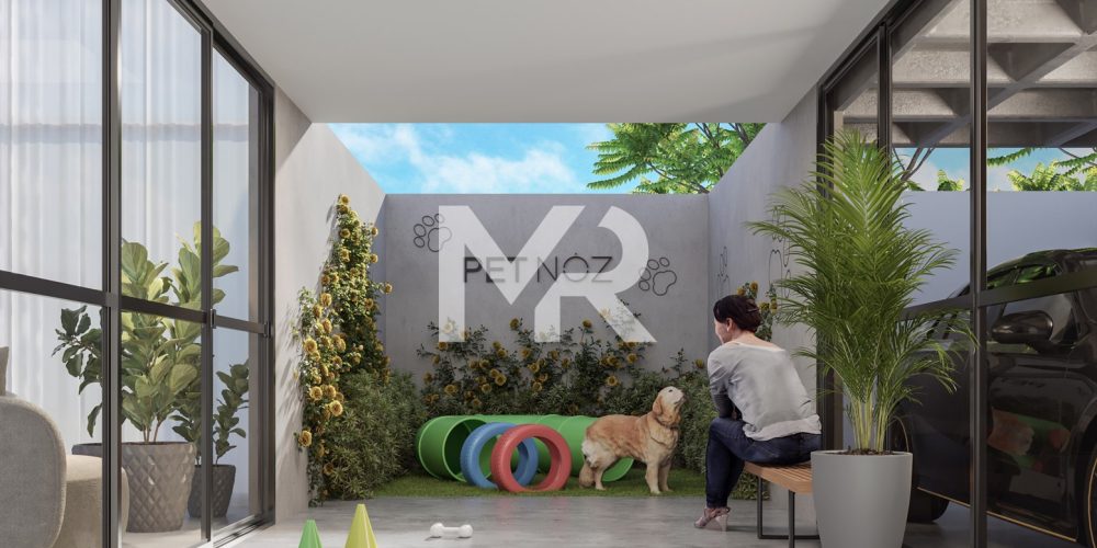 Pet-noz-mr-reduzida